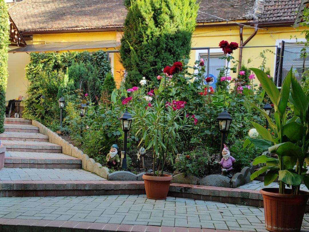 Color Home Hermannstadt Exterior foto